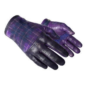 Gloves