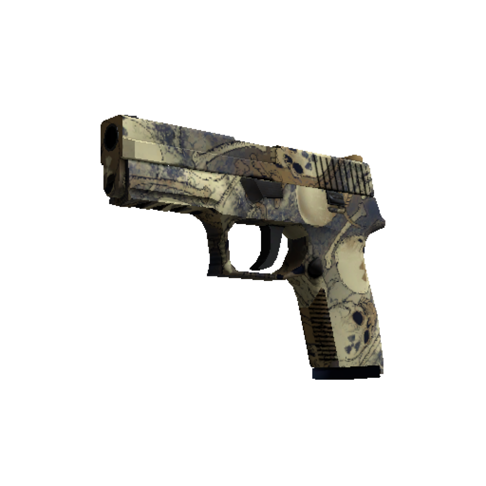 P250 | Contamination (Minimal Wear) P250 | Contamination (Minimal Wear)