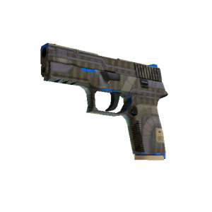 P250 | Exchanger (Factory New)