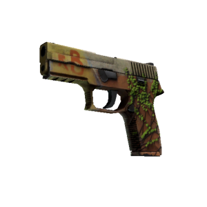 P250 | Inferno (Field-Tested)