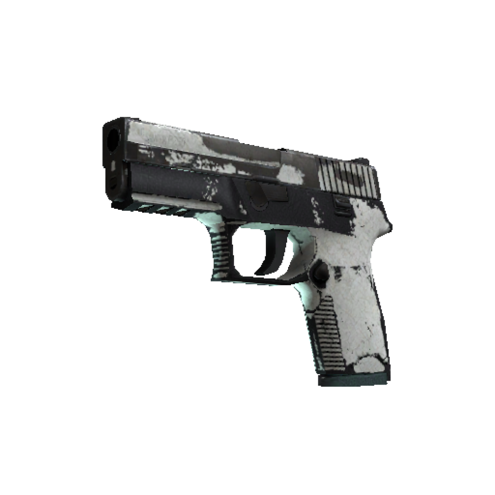 P250 | Whiteout (Battle-Scarred) P250 | Whiteout (Battle-Scarred)