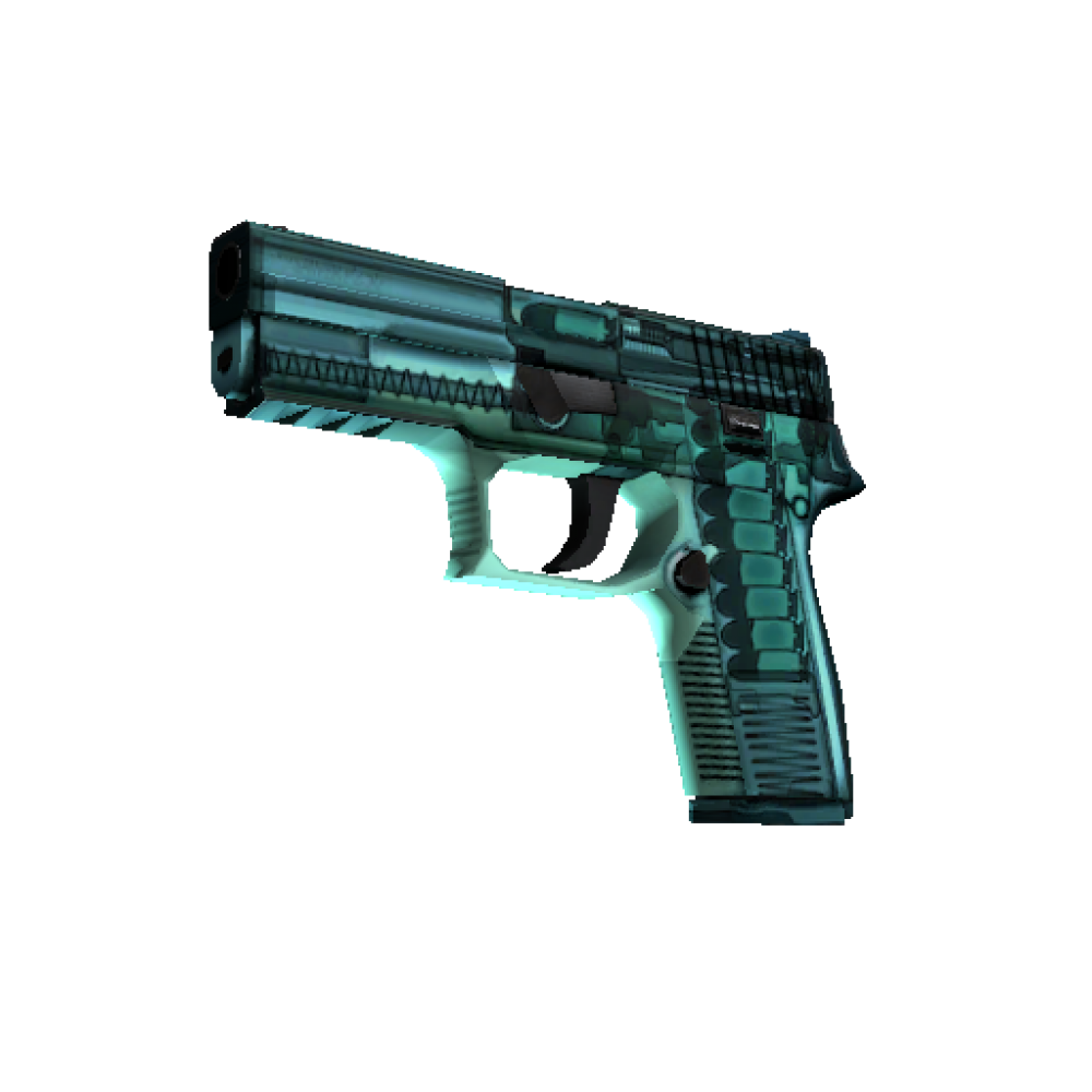 P250 | X Ray (Factory New) P250 | X Ray (Factory New)
