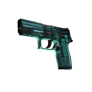 P250 | X Ray (Field Tested)