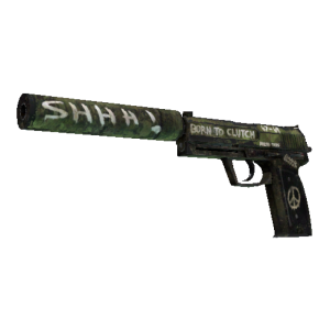 StatTrak™ USP-S | Flashback (Field-Tested)