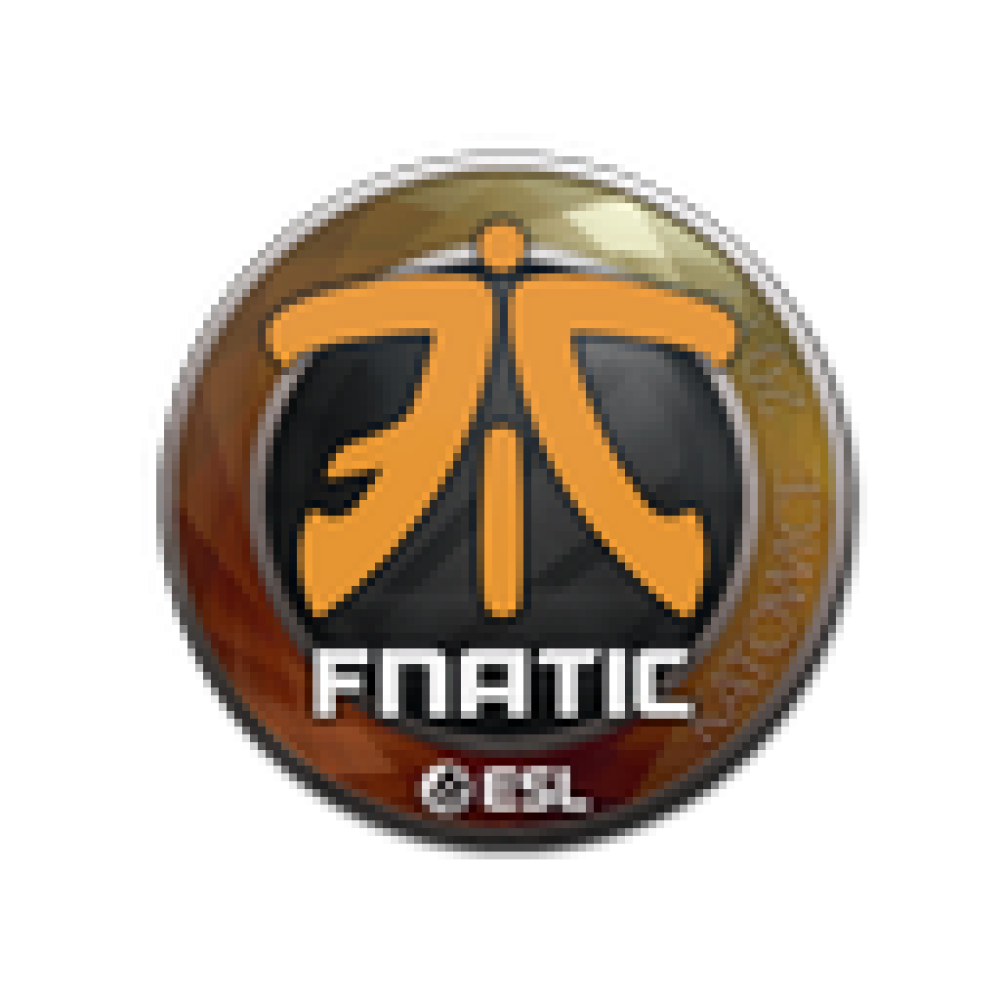 Sticker | fnatic | Katowice 2019 Sticker | fnatic | Katowice 2019